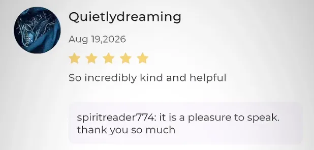 Screenshot of Quietlydreaming's review: So incredibly kind and helpful.